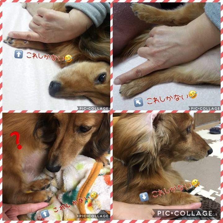 2d31190f 187b 4299 a952 95da1bd101ea 1519380429115