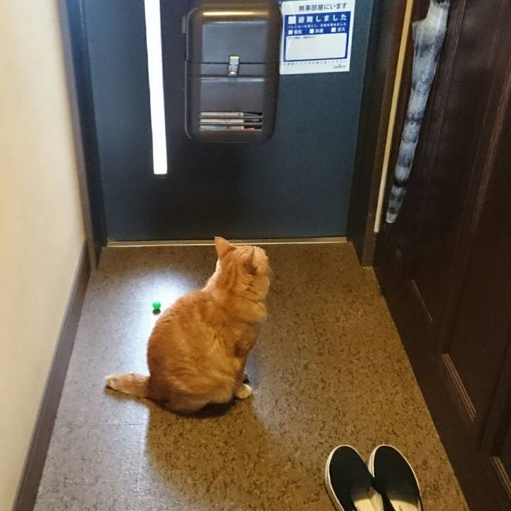 2d314d30 c166 4795 9fba df3ce8aee5d7 1524526138957