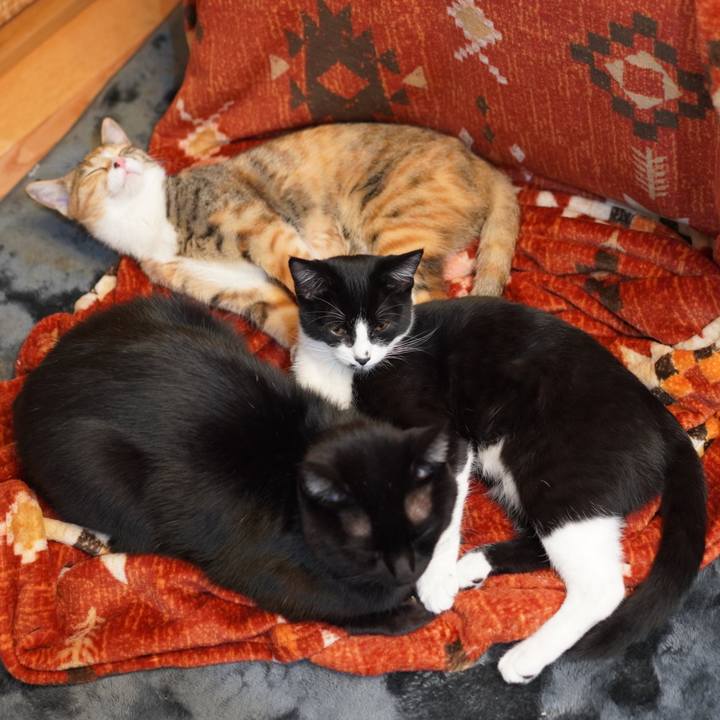 2d3151d1 a1e6 4bdc 8492 8d597235c6bd 1577145057711