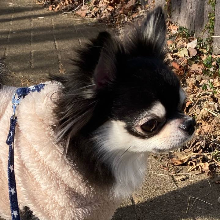 2d318d56 ee80 44b7 8fe0 5610ee3a18c4 1642220971338