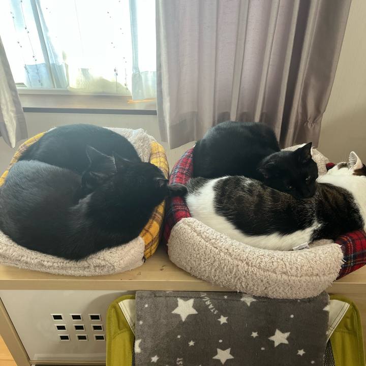 2d31b58e 6484 47ea 862b 94648097e9bd 1733224223005