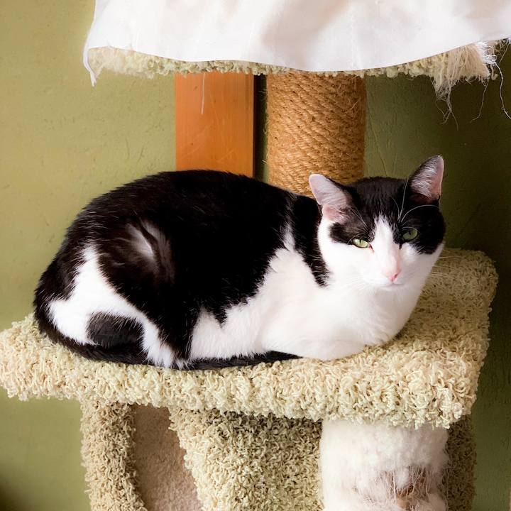 2d31b913 6eca 4896 9958 516e4a266220 1562120113640