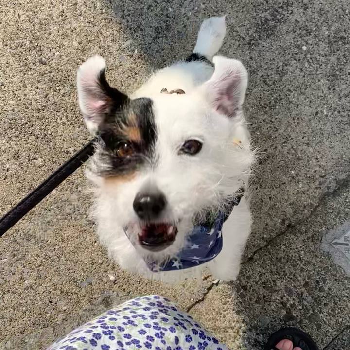 2d31c411 4246 4fa5 b2e8 ae07745fe74f 1660000120936