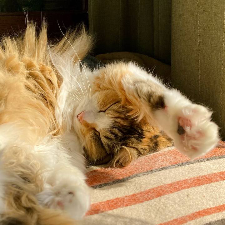 2d31ec09 4b50 4299 9bb1 8a22bce21cc3 1649489426305