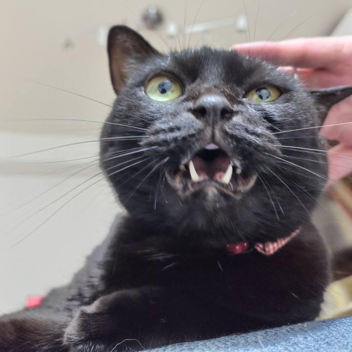 2d31f214 4292 4430 abc0 5e8d71b0c6d6 1722947966271