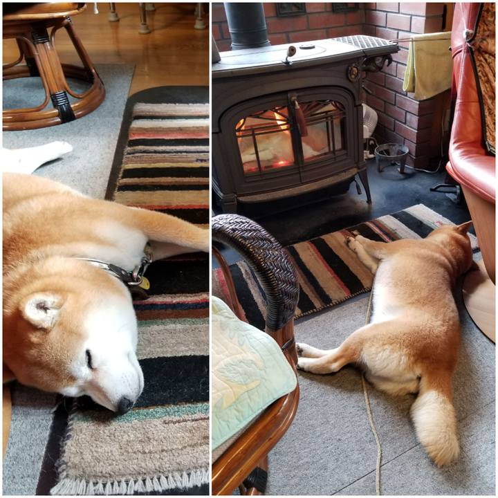 2d320c22 96e5 45c3 b6d9 cfe50fdaf8cf 1590881609794