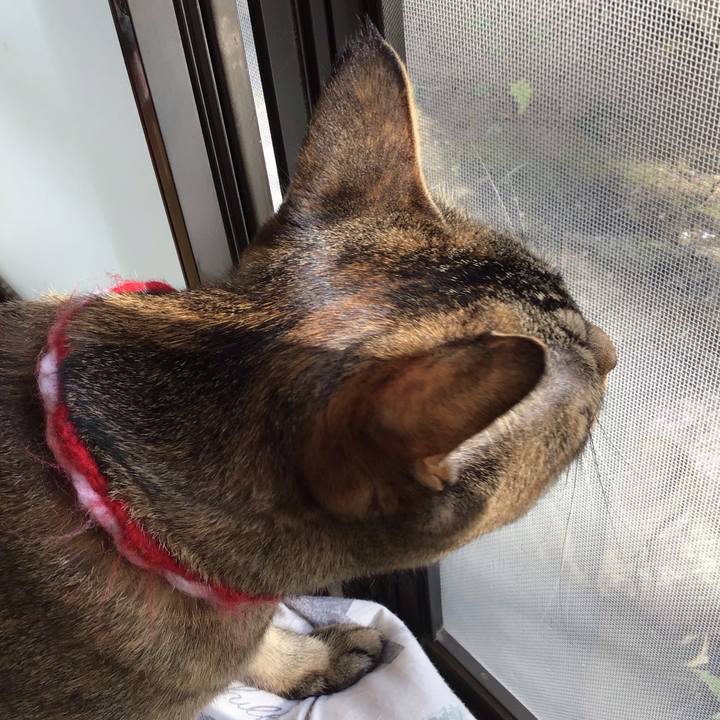 2d3254bd 128f 468d a1e0 44c4970c12a8 1607217429755