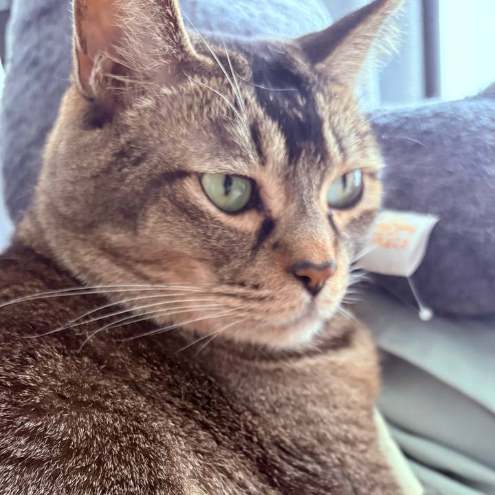 2d326c3f b7ed 4404 9339 ca9365a4c653 1771936569987