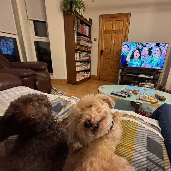 2d32717c 629a 4372 a09b 4297ba3461bb 1774091476898