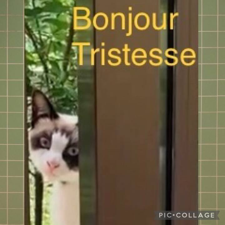 2d327687 ad56 4ba5 84ad c5b52c3e4044 1731186491514