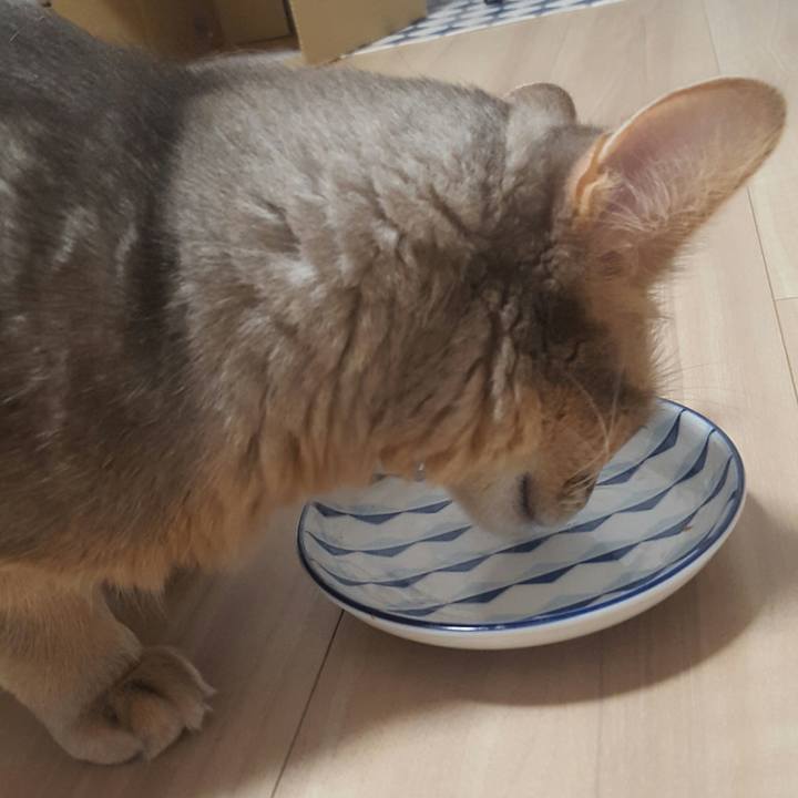 2d32b950 5809 41d2 b33b ae0f0edff997 1518611170230