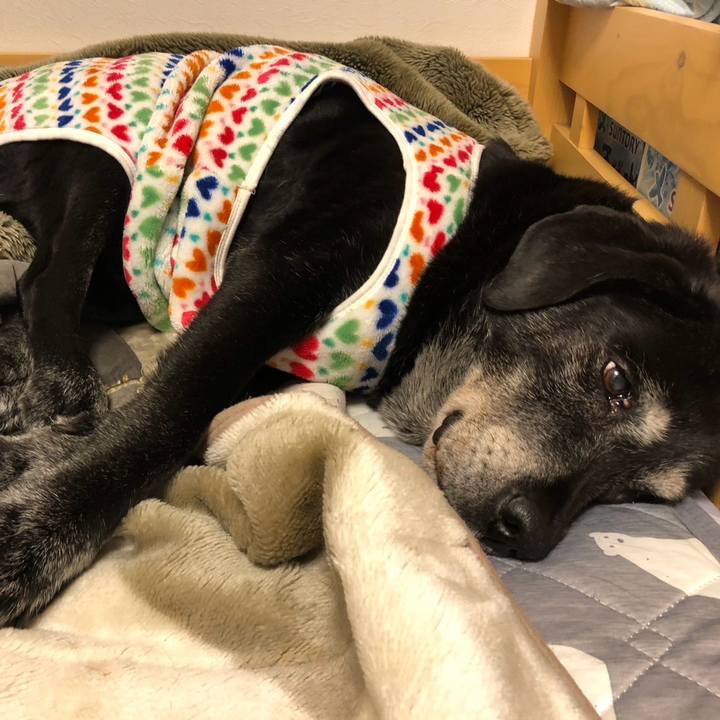 2d32d92b 4020 48a8 b330 08789203c731 1731297755746