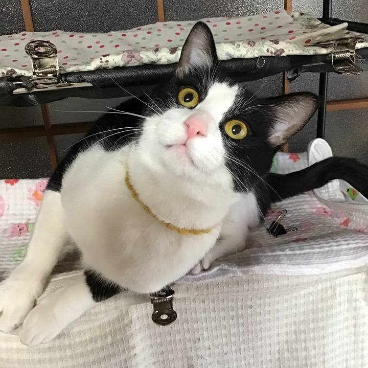 2d32ee71 7c55 492a aea4 9a2d59bc2344 1647922151835