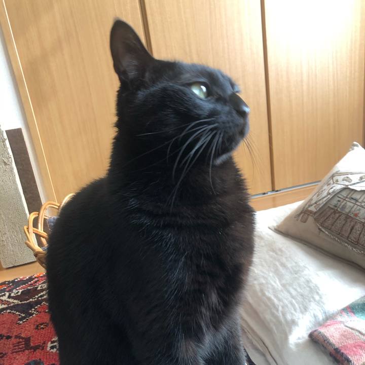 2d332068 772e 4dae 8f9d ae071a129f85 1582416809170