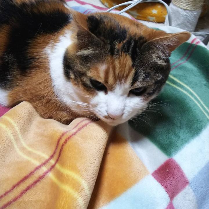 2d332b62 f26c 4625 be82 17eeaa9f4d5e 1556056346630