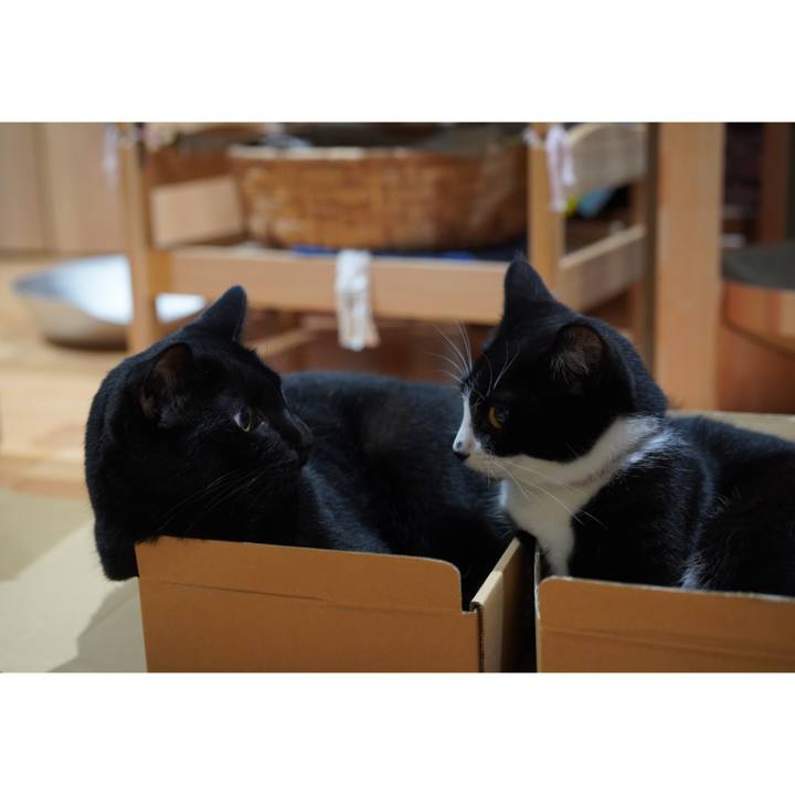 2d3342ed 3021 4792 b6fb b752753ccc71 1626272881501