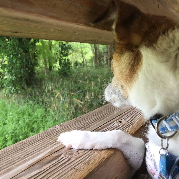 2d3375f0 d14b 430c a2e5 7abdbfa7a878 1556532887112