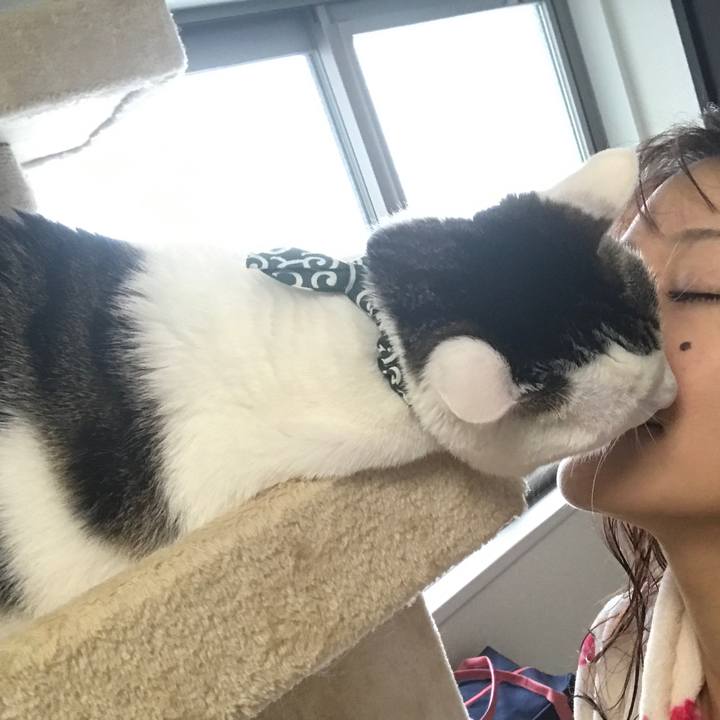 2d338f20 1286 442c 853e 2a628517b9ed 1524734612425