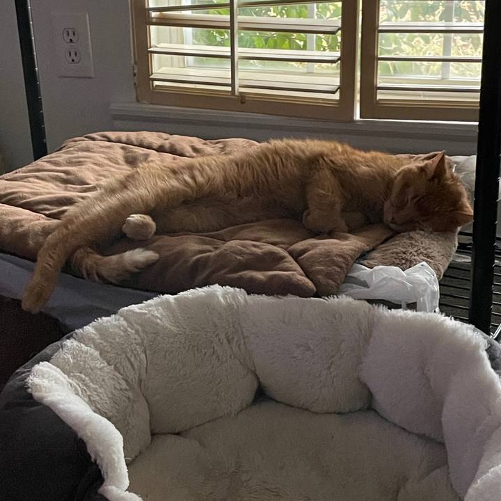 2d340029 b169 4d60 b177 4bda422bb471 1769273207306