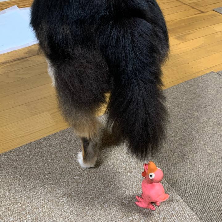 2d3496a3 2718 41d9 8f46 2aa94ddedf00 1594073174505