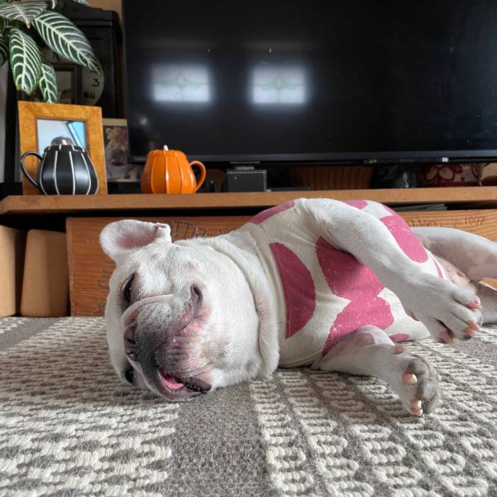 2d34a61b edc4 47d6 b184 d8fb569bebb2 1760761402868