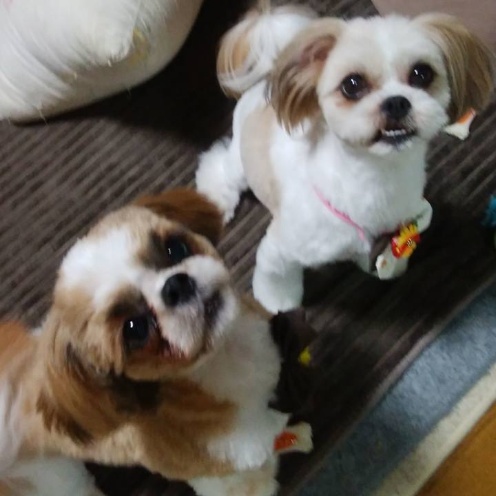 2d34c11b 423f 4858 bc79 dc64098628f3 1562581018144