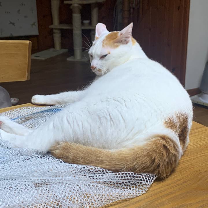 2d34d9b7 6427 40e4 a2ca 67f07a2296bc 1664371472820