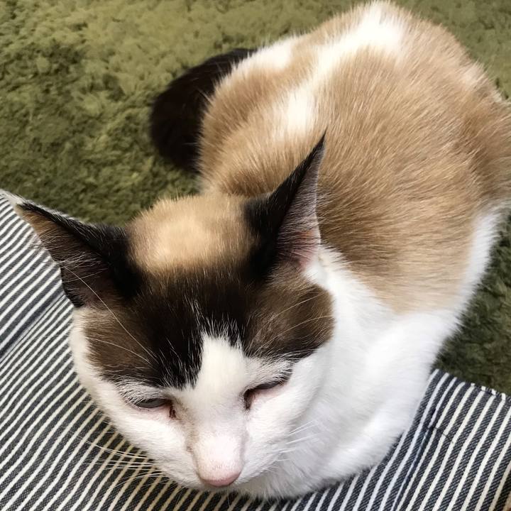 2d350ee8 efbc 4bb4 9940 4b182afa6b09 1616914320661