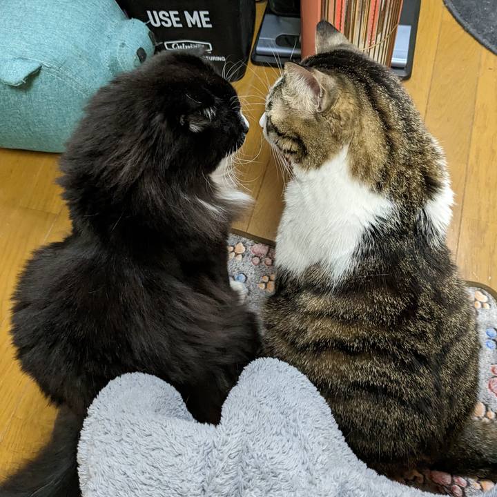 2d35113e 2a81 4eee a7aa 95dd09c8a02c 1674035317686