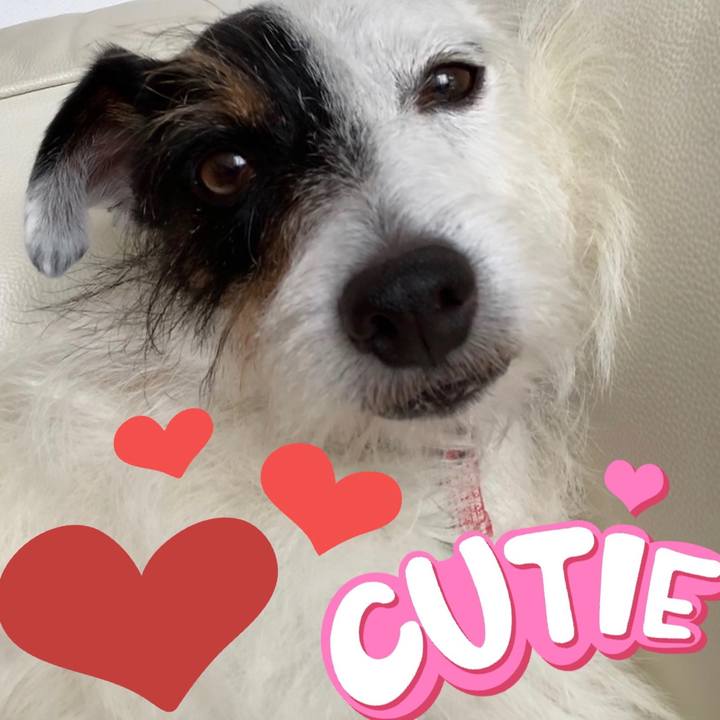 2d3529e4 33b0 4b68 a28c 7f60d2182b12 1595991022725