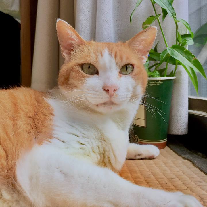 2d3538c3 ecef 4dc3 ab57 dd3176157530 1564036926932