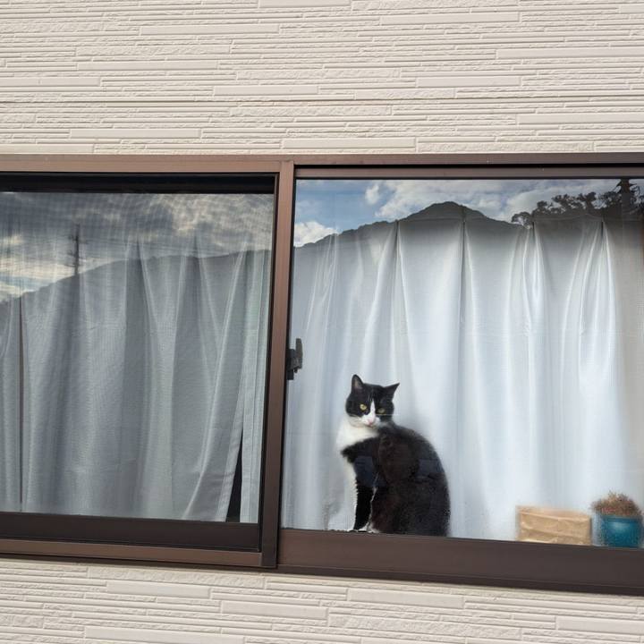 2d35606a e6fd 4978 8f3a 564e4c18c102 1731390825807