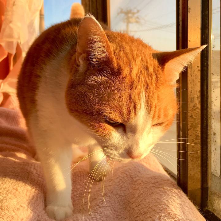 2d357511 9dca 4c1b ad76 729bf07ec563 1573537112511