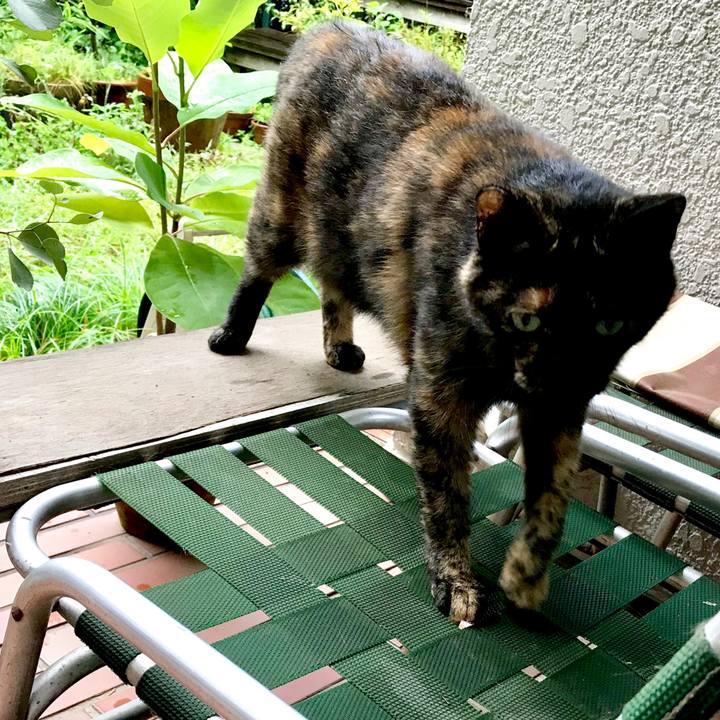 2d357a2b 4f7f 492b 91a6 375d422e091c 1530878816757