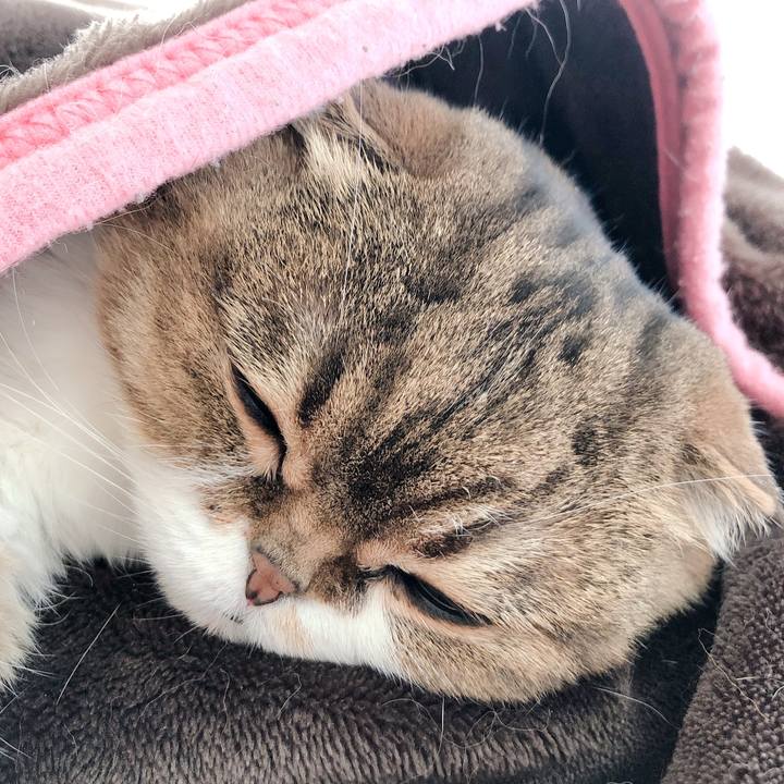 2d35a3ff 4c74 498d bbf8 391050c8f6c9 1587093480157