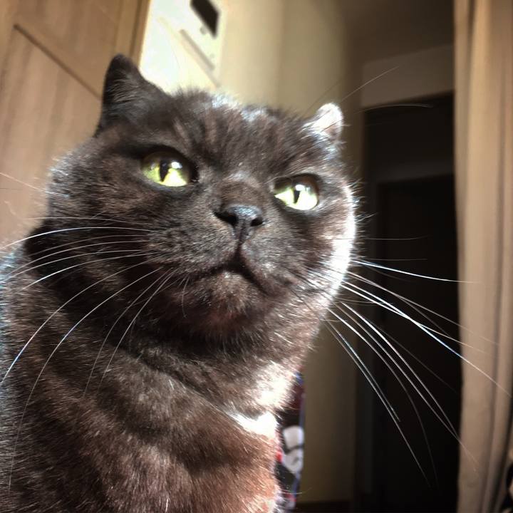 2d35a59f d970 4008 9e1e 1178540a6881 1546327794136