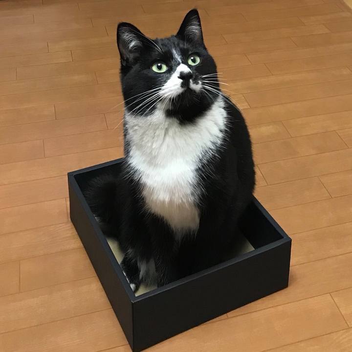 2d35add9 ae8a 404b 8afd 5853935c3952 1518238188174