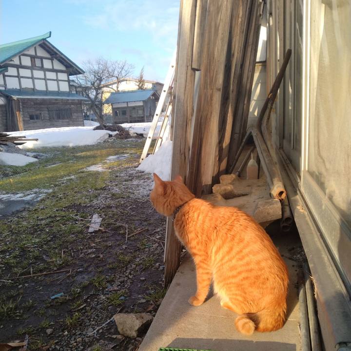 2d35d0b1 6e5e 41df 9f83 57ff6db9a590 1677797191309