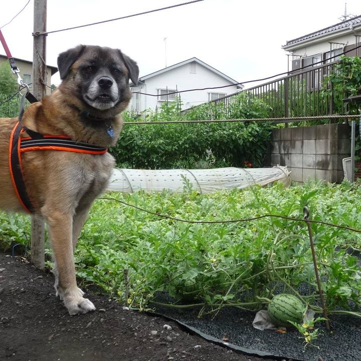 2d35ea2f f430 4a46 8fcc 1d429e7d9952 1578183195517