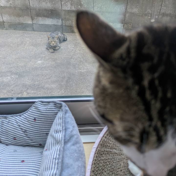 2d36292d 3ac7 4b0f 8bea 23069737bed7 1753771492625