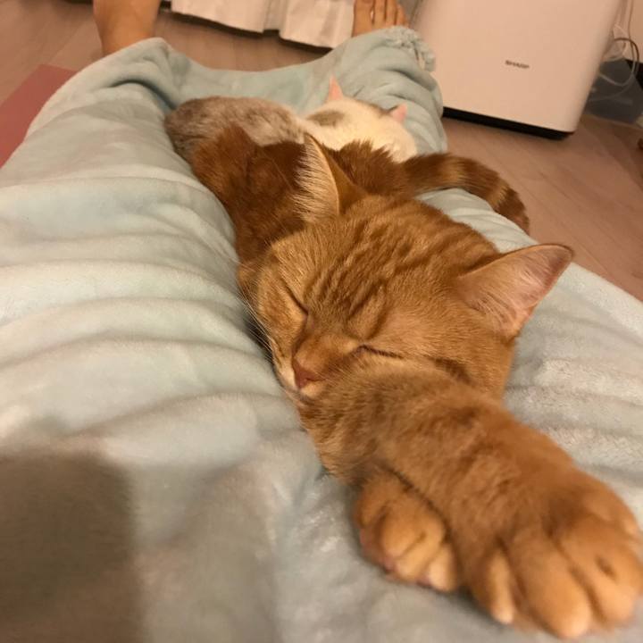 2d366354 e6fc 4f10 921e 634ddaee7d46 1512473248865