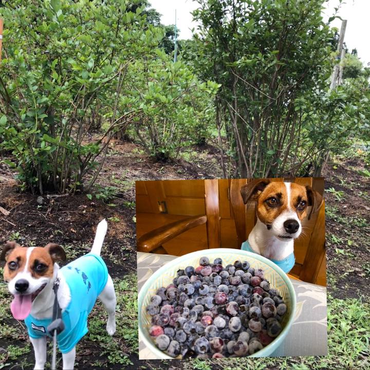 2d368388 25fc 484c abff 78267e585bfa 1566533190965