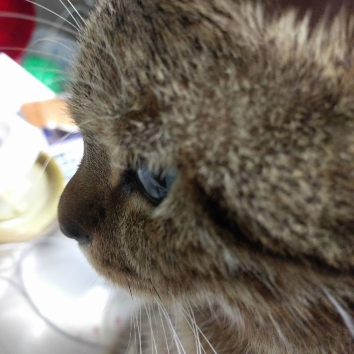 2d368bfd db5f 4463 a38f acb8ce1794cb 1533726663868