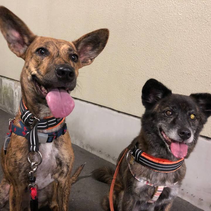 2d36c449 2ac7 429a a819 cedc70967e42 1598795405249