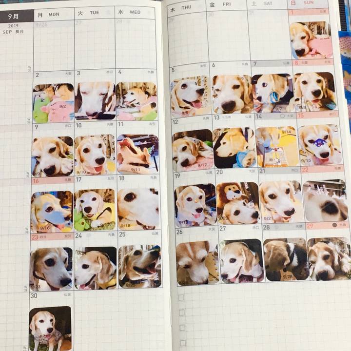 2d370ee0 5290 4670 b62d f07b081d30e3 1571717767220