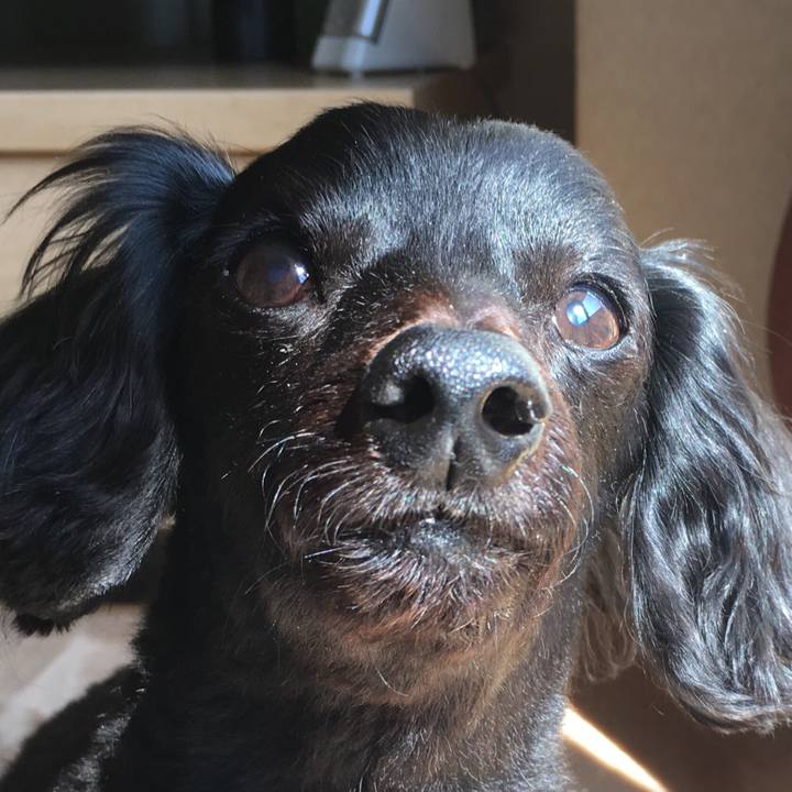 2d371160 7e1d 4d6d bb51 1d9455565e39 1523665372719