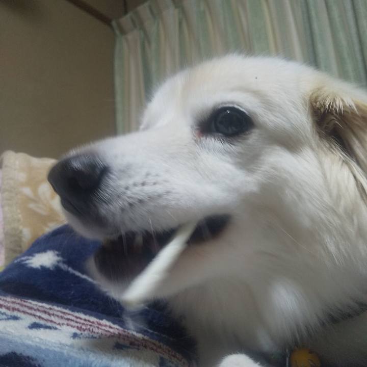 2d37526f e5be 40f0 84bc 973176e1af05 1640555886531