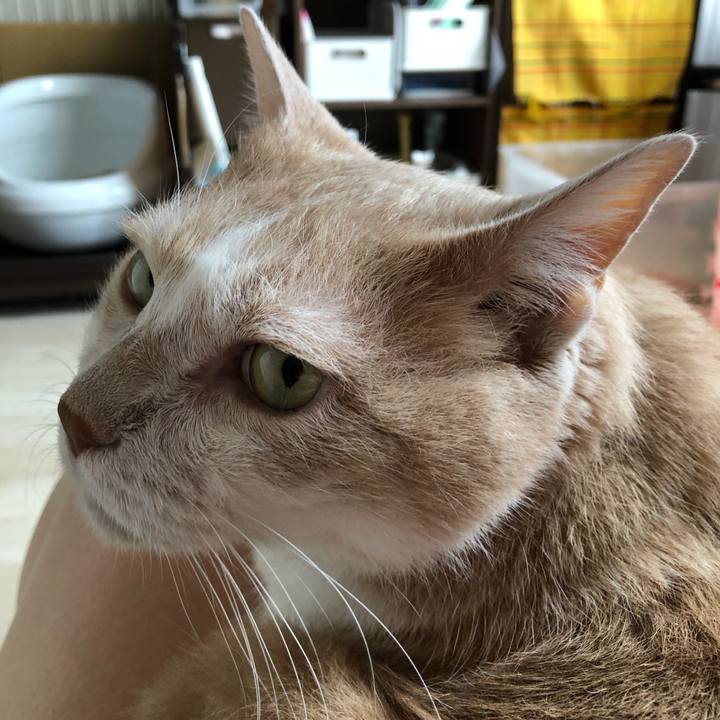 2d375dba 72f1 478b 9560 237aae9f2d7c 1595462242112