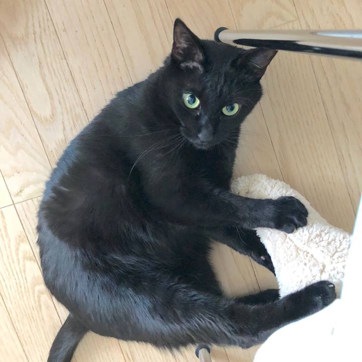 2d3778ce 0956 4c1b 885d c028125ae4c7 1513999042709