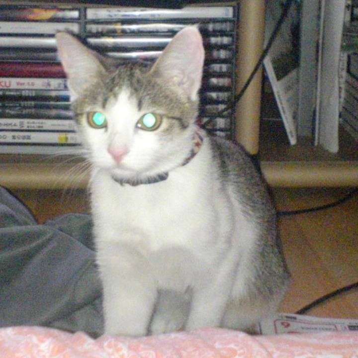 2d378eed fdfe 4eae 9e6f fcbfabf49491 1683264885310